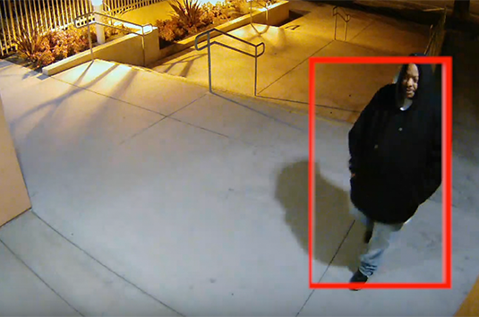 Crime Prevention Using Remote Guarding Example